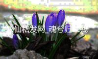 诛仙私发网_魂兮归来残卷二哪买